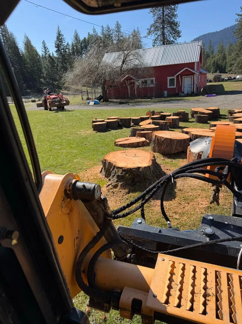 Skid steer stump grinder working beside a red barn, with ground stumps in the field