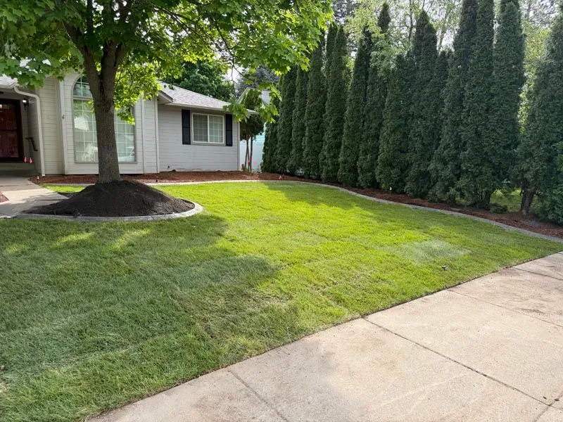 Finished green lawn with curbed tree bed in front of a single-story house