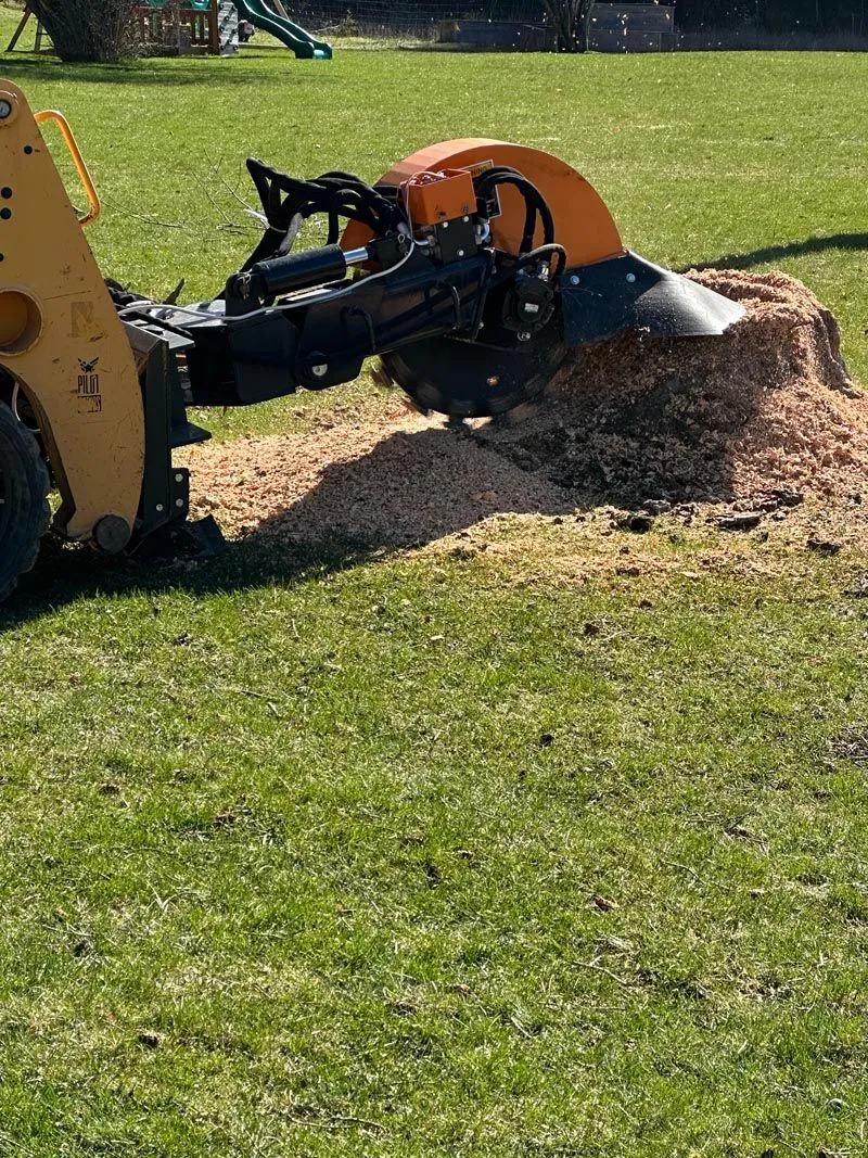 Tracked skid steer beside a field of freshly cut tree stumps