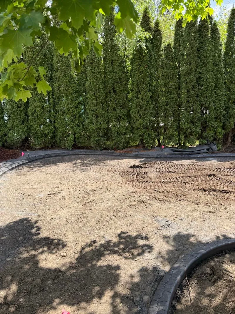 Graded soil along a new concrete curb line beside a row of arborvitae