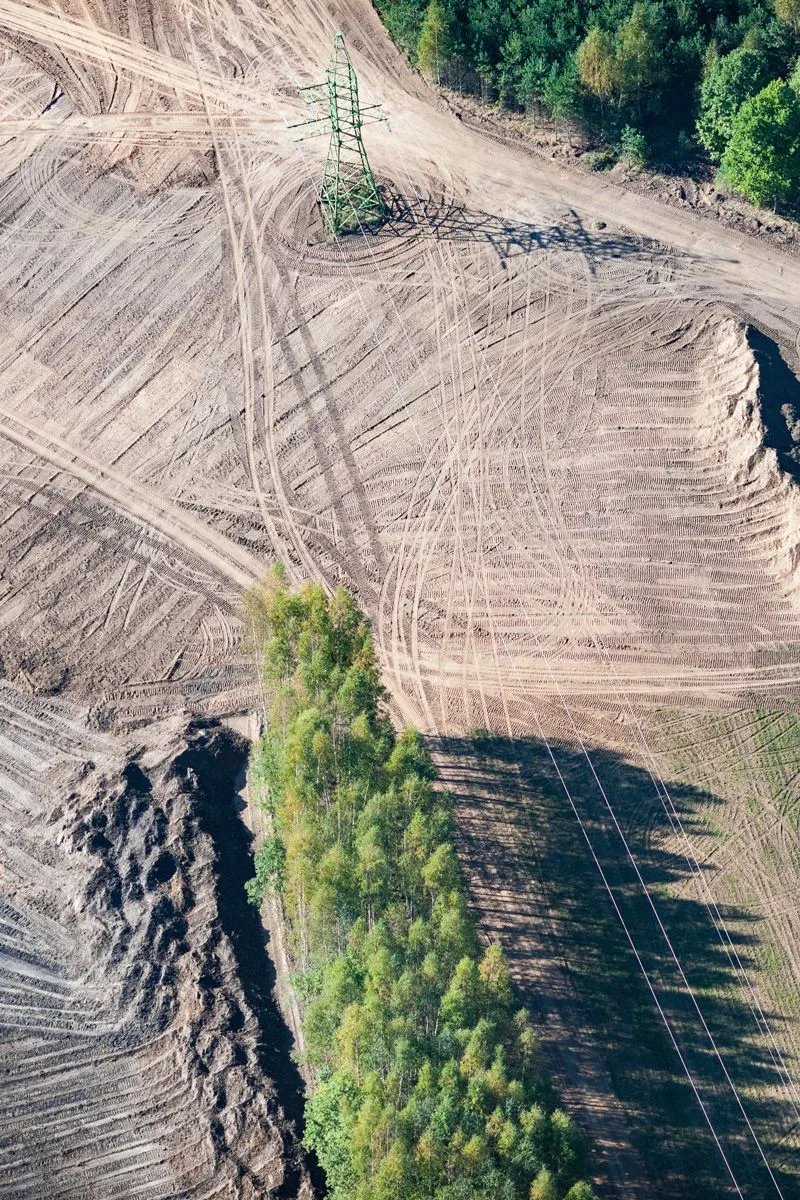 Aerial view of a cleared, mulched property with a strip of trees left standing